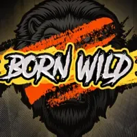 Born Wild icon